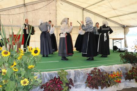 Srečanje upokojencev ob občinskem prazniku 8